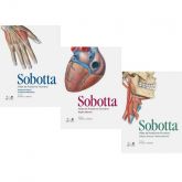 Sabotta 2015